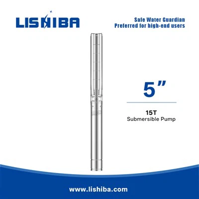 Sukeldatav korduvpump